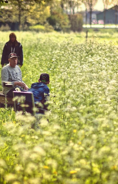 flowers-7580159_1920